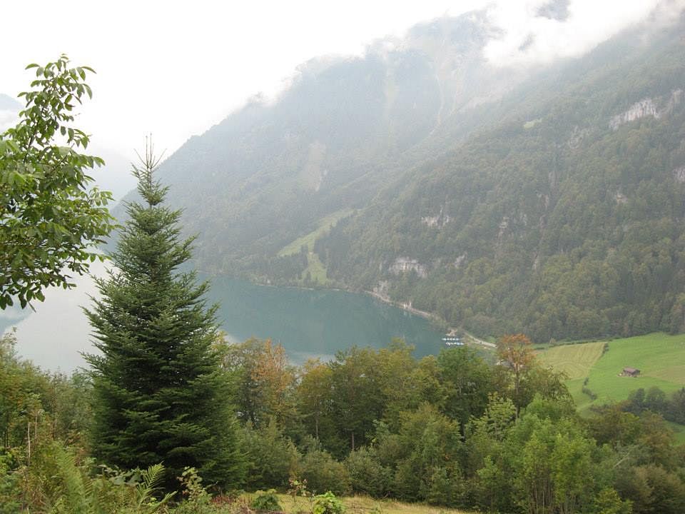 1_Fotos (1)